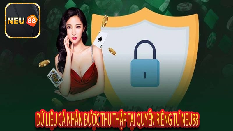 Dữ Liệu Cá Nhân Được Thu Thập Tại Quyền Riêng Tư Neu88